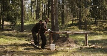 Kaip VMU saugo vienas svarbiausių miško gyventojų – skruzdėles?