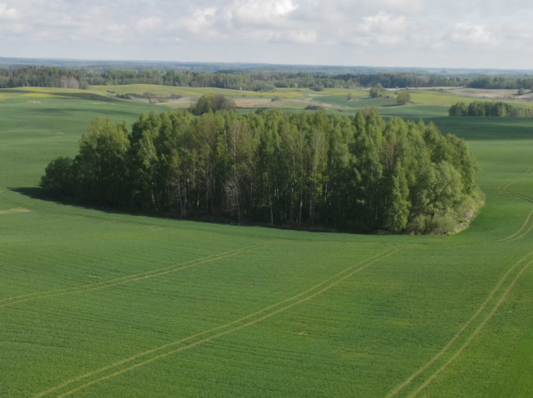 IKMIS: pasėlių stebėjimas ir LŽŪKT augalininkystės konsultantų rekomendacijos (05-14)