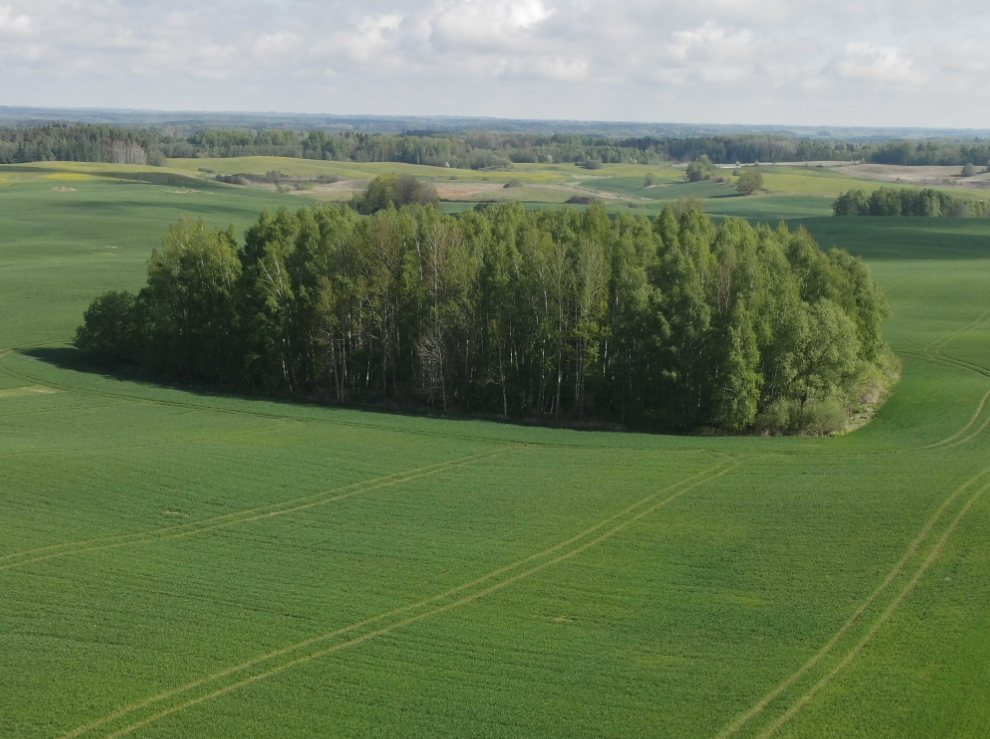 IKMIS: pasėlių stebėjimas ir LŽŪKT augalininkystės konsultantų rekomendacijos (05-14)