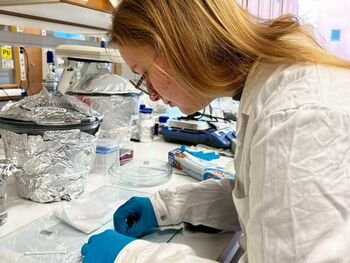 Studentė tiria naujas medžiagas, galinčias pagerinti saulės elementų efektyvumą