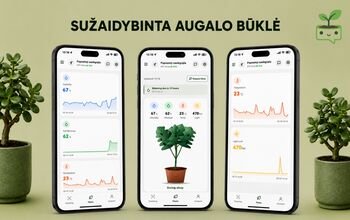 Pamiršote palaistyti augalą? KTU studentai kuria sprendimą, kuris tai numatys už jus