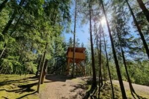 Keturi maršrutai, padėsiantys atrasti Suvalkijos miškų grožį (Atnaujinta)