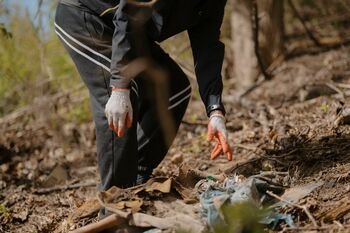 Viena naktis gamtoje, savaitės pasekmės: kokį pėdsaką palieka Joninės? (Atnaujinta)