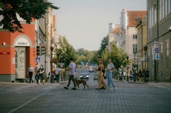 Metų pradžia signalizuoja apie teigiamas tendencijas: turistų skaičius Lietuvoje išaugo beveik penktadaliu