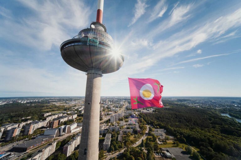 Rekordinis šaltibarščių festivalis: „Vilnius Pink Soup Fest“ šiemet pritraukė beveik 180 tūkst. dalyvių