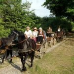 Ieškote, kur ištrūkti savaitgalį? Anykščiai kviečia į 48-ąją „Bėk bėk, žirgeli!“ – nostalgijos, žirgų ir vasaros šventę