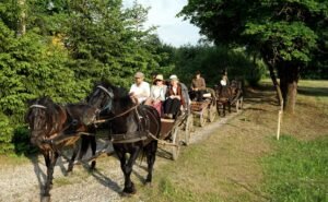 Ieškote, kur ištrūkti savaitgalį? Anykščiai kviečia į 48-ąją „Bėk bėk, žirgeli!“ – nostalgijos, žirgų ir vasaros šventę