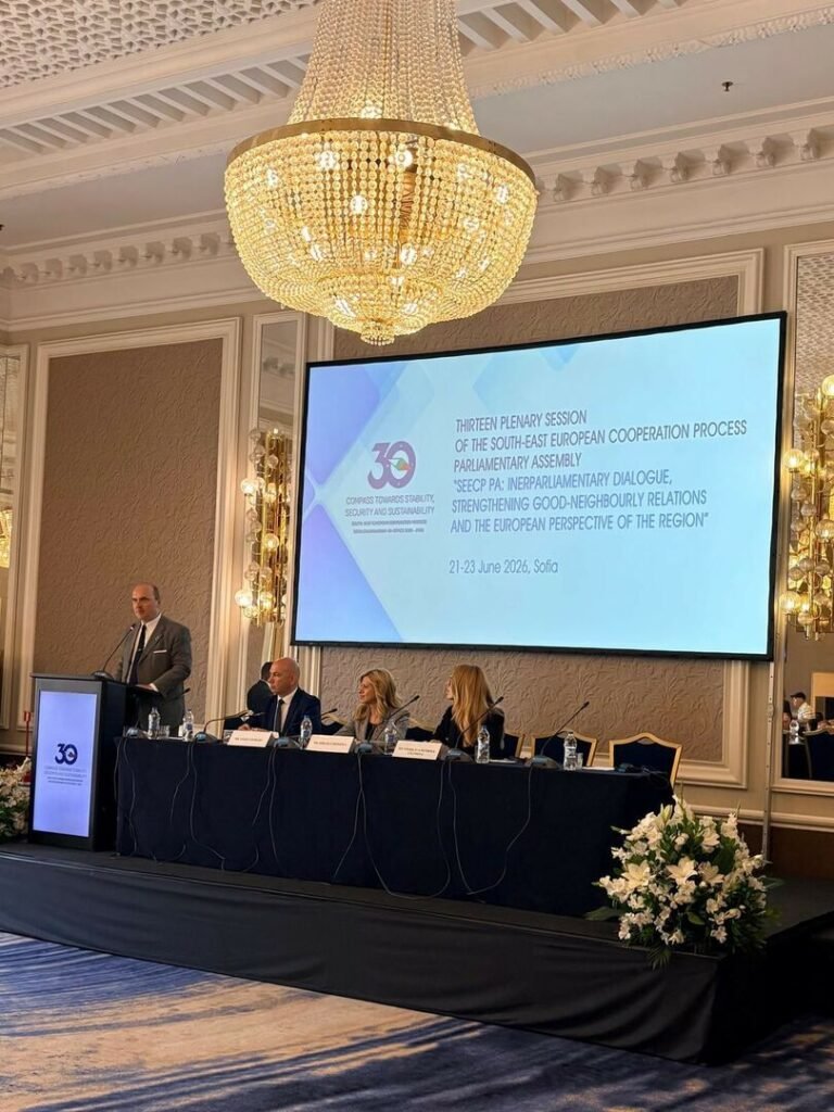 Seimo narys Giedrius Drukteinis Pietryčių Europos šalių bendradarbiavimo proceso Parlamentinės Asamblėjos plenarinėje sesijoje: „Turime mažinti susiskaldymą ir kurti pasitikėjimą“