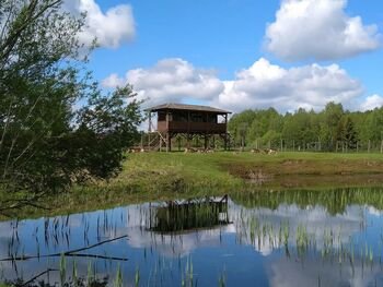 Aukštaitijos gamtos maršrutai: nuo susitikimo su stumbrais iki vaizdingų Neries panoramų