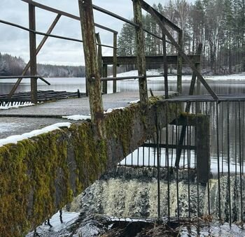 Kazlų Rūdos savivaldybėje dėl Jūrės tvenkinio užtvankos paskelbta ekstremali situacija