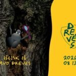 Miesto gamtos ir bendruomenės festivalis „Drevės“