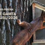 Kauno Tado Ivanausko zoologijos muziejus kviečia įamžinti laukinę gamtą šalia mūsų ir dalyvauti fotografijos konkurse
