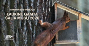 Kauno Tado Ivanausko zoologijos muziejus kviečia įamžinti laukinę gamtą šalia mūsų ir dalyvauti fotografijos konkurse