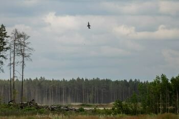 „Mach Industries“ VANGUARD 2026 pratybose pademonstravo Viper, stiprindama sąjungininkų gynybinę parengtį