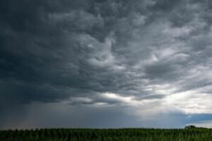 Kai baseinas išvyksta į kaimynų kiemus: netikėčiausios vasaros audrų istorijos