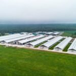 Lietuvoje sukurtas pieno gamybos modelis tapo tarptautine „Dairy Space“ franšize
