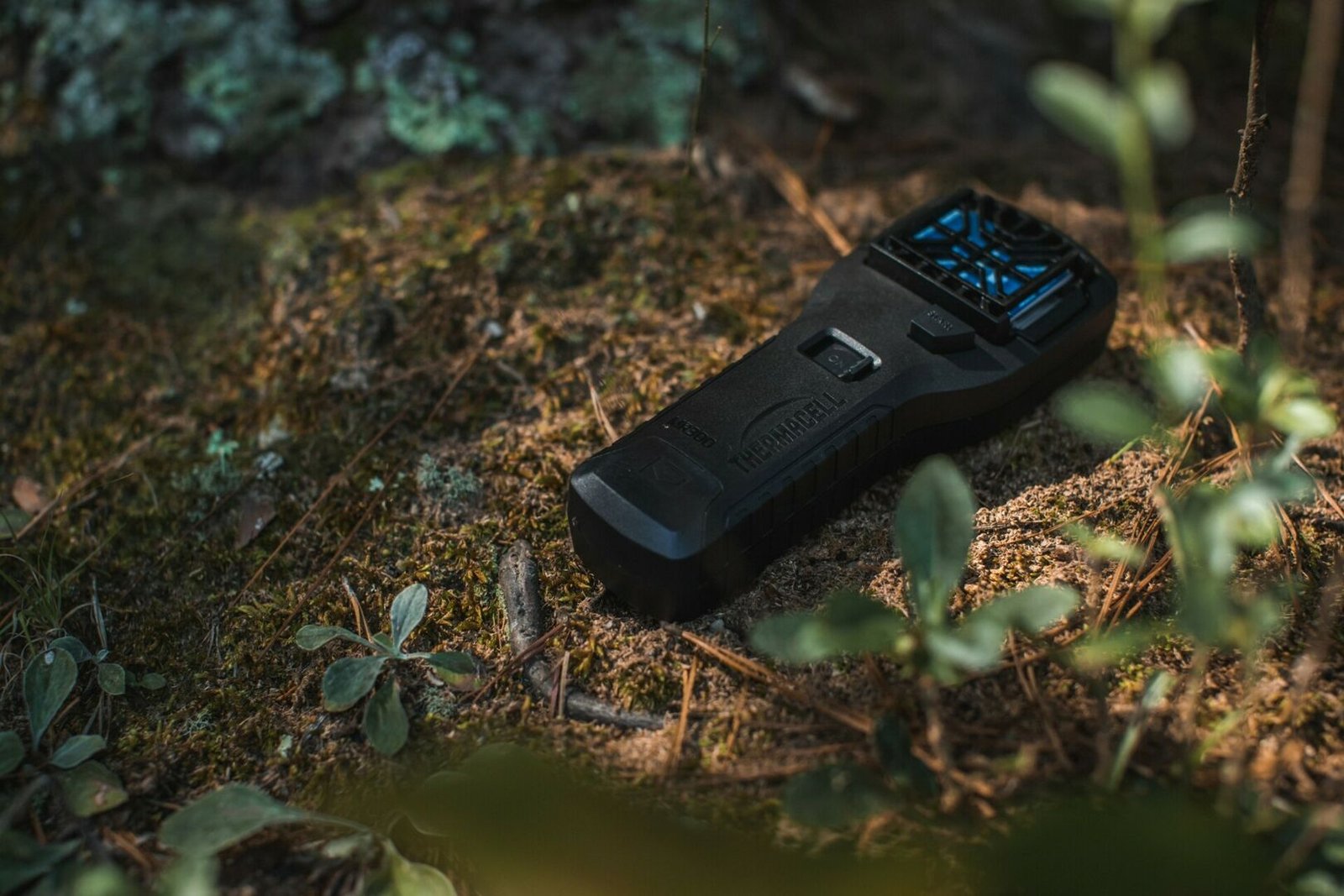 Šilti vakarai kviečia į lauką: didžiausia uodų įkandimų rizika - per pirmąsias 20 minučių