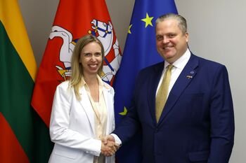 T. Valys susitikime su JAV ambasadore: „Esame pasirengę prisijungti prie JAV gynybos įmonių tiekimo grandinių“