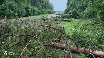 Keliuose jau fiksuojami stipraus vėjo padariniai – kelininkai dirba visu pajėgumu