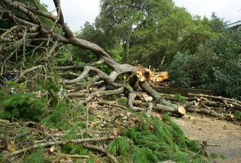 Draudikai skaičiuoja savaitgalio audros nuostolius: BTA registruota 400 žalų, rezervas siekia 550 tūkst. eurų