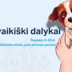 Vilniaus geležinkelio stotyje – socialinė paroda „(Ne)vaikiški dalykai“: už paprastų daiktų slypi tikros vaikų istorijos