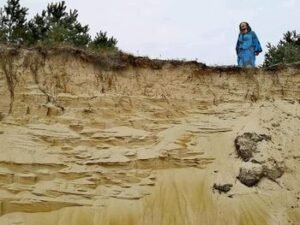 Dvylika Liudviko Rėzos garso stotelių
