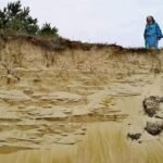Dvylika Liudviko Rėzos garso stotelių (Atnaujinta)