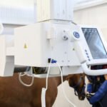 LSMU Stambiųjų gyvūnų klinikoje – naujos kartos rentgeno sistema
