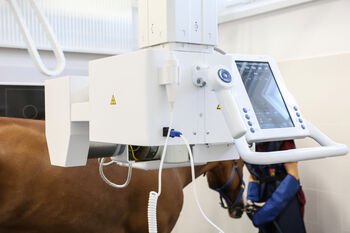 LSMU Stambiųjų gyvūnų klinikoje – naujos kartos rentgeno sistema