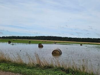 ŽŪR dėl audros padarinių kreipėsi į tris ministerijas ir NMA: ūkininkams reikia skubių bei aiškių sprendimų