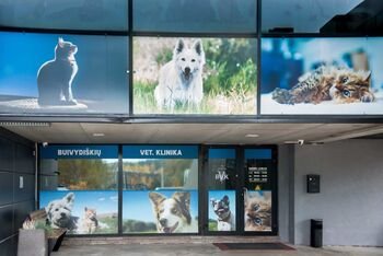 Ilgametis veterinarijos gydytojas: šiandien gyvūnai gyvena ne šalia žmogaus, o kartu su juo