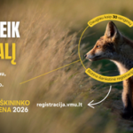 Kviečia nepraeiti pro šalį: Miškininko dienos renginių programa