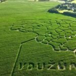 „Kukurūzų naktis“ VDU Žemės ūkio akademijoje: dieną – žemės ūkio naujovės, sutemus – nuotykis kukurūzų labirinte