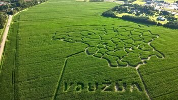 „Kukurūzų naktis“ VDU Žemės ūkio akademijoje: dieną – žemės ūkio naujovės, sutemus – nuotykis kukurūzų labirinte