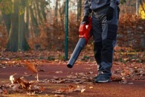 Kaip greičiau sutvarkyti nukritusius lapus rudenį?