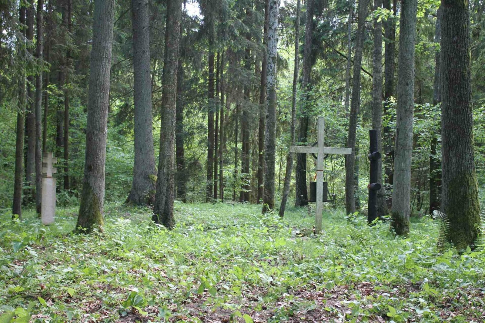 Partizanų palaikai gali likti neatpažinti, kovų vietos – sunaikintos: Paveldo komisija siūlo keisti jų apsaugą (Atnaujinta)
