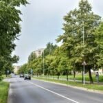 Panevėžyje modernizavus gatvių apšvietimą elektros energijos poreikis sumažėjo beveik perpus