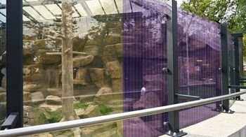 Lietuvos zoologijos sode – sprendimas, padedantis paukščiams išvengti susidūrimų su stiklu