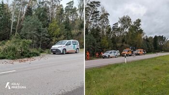 Kelininkai šalina vėjo sukeltas kliūtis