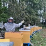 Kodėl vienas medus šviesus, o kitas beveik juodas? Bitininkai atskleidžia, ką lemia gamta