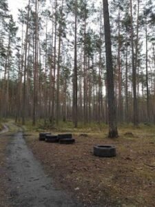 Miškuose paliktų padangų kaina: nuo žalos aplinkai iki baudų teršėjams