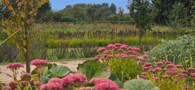 Mažiau darbų – daugiau grožio. Kaip sukurti žiemos gėlyną?