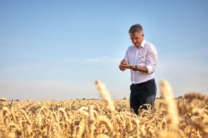 Kitų metų derliaus dar nėra, bet jis – jau parduotas: ekspertas paaiškina, kodėl svarbu užfiksuoti kainas